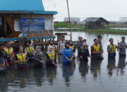 PT PP (Persero) Tbk Kembali Tanam Mangrove dan Bersihkan Pesisir Anggasari Subang