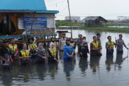 Mangrove