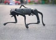 Usai klaim berhasil membuat robot, salah satu Universitas di India dihujat