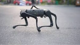 Usai klaim berhasil membuat robot, salah satu Universitas di India dihujat