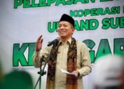 Menteri Koperasi Ferry Juliantono Lepas Ekspor 3 Ton Manggis Koperasi Produsen Upland Subang Farm
