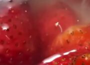 Viral Temuan Belatung Hidup di Puding Menu MBG di Kota Malang, SPPG Lowokwaru Tulusrejo 2 Akui Kurang Teliti