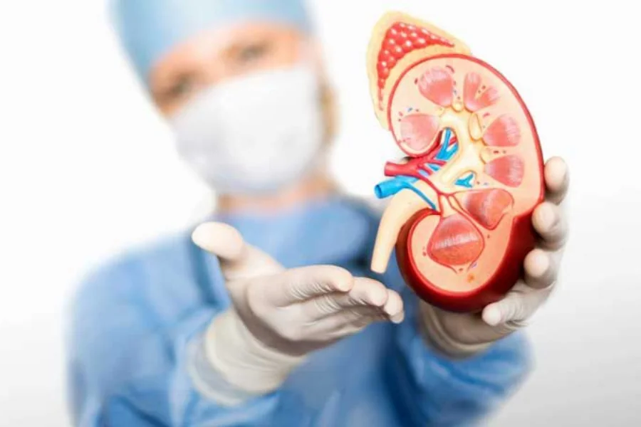 Lindungi Ginjal Anda, Kenali Risiko dan Tanda Kanker Sejak Dini