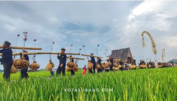 Ngarak Budak Sunat Warnai HUT ke-55 Dedi Mulyadi di Subang