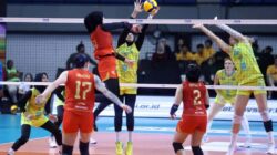 Popsivo Polwan Tutup Proliga 2026 dengan Raihan Juara Tiga