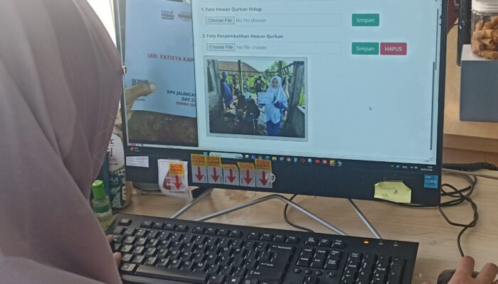 Proses Input Data Real-time Proses Qurban