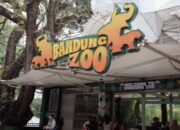 Masa Pendampingan Berakhir, 711 Satwa Bandung Zoo Siap Dipindahkan