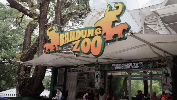 Masa Pendampingan Berakhir, 711 Satwa Bandung Zoo Siap Dipindahkan