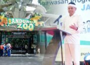 Polemik Tak Kunjung Selesai, Dedi Mulyadi Siap Benahi Bandung Zoo