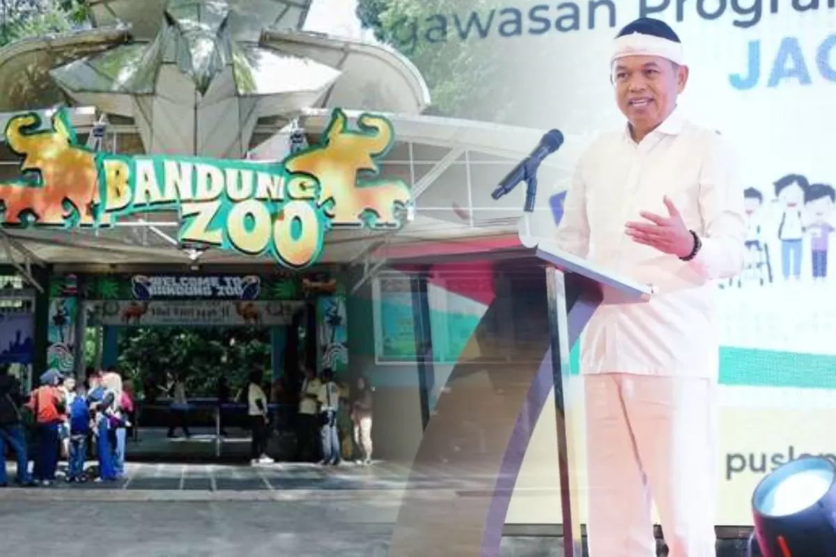 Polemik Tak Kunjung Selesai, Dedi Mulyadi Siap Benahi Bandung Zoo