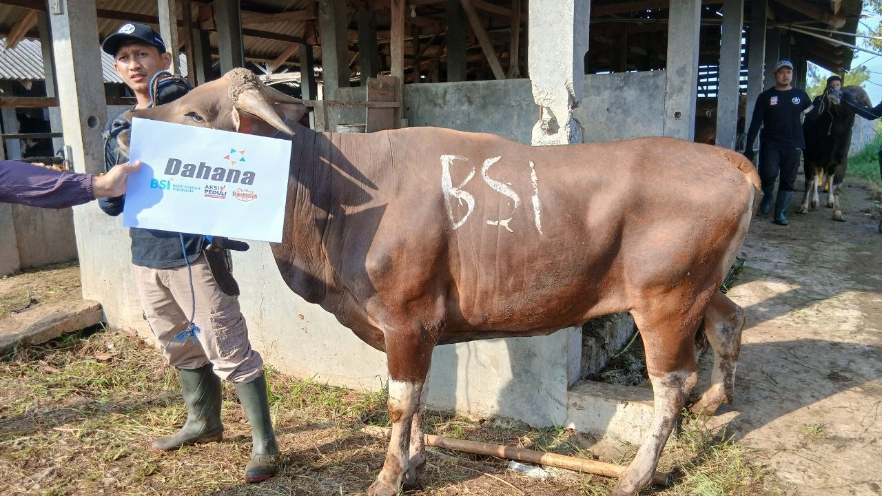 BSI dan Assyifa Peduli Perluas Manfaat Qurban melalui Kolaborasi Kebaikan