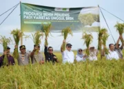 Subang Kian Kokoh sebagai Lumbung Padi Nasional, Pusakajaya Jadi Motor Penggerak Produksi Pangan