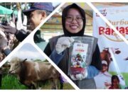 Qurban Bahagia 1447 H : Assyifa Peduli Salurkan 531 Hewan Qurban untuk 70.599 Penerima Manfaat