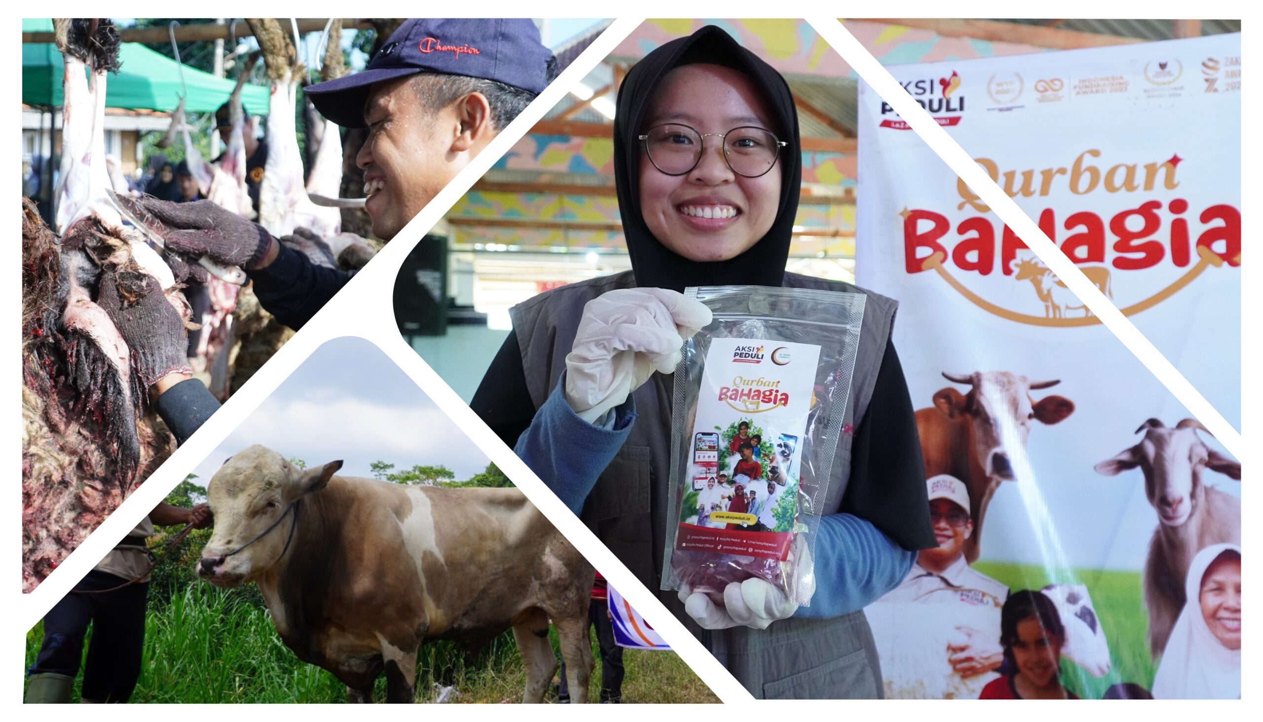 Qurban Bahagia 1447 H : Assyifa Peduli Salurkan 531 Hewan Qurban untuk 70.599 Penerima Manfaat