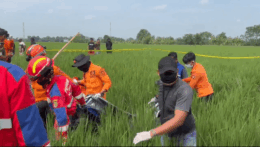 Hilang 10 Hari, Nenek Enih Ditemukan Tak Bernyawa di Sawah