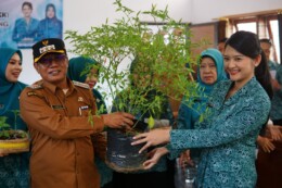 Ketua TP PKK Subang Dorong Kemandirian Pangan Lewat Gerakan Tanam Cabai
