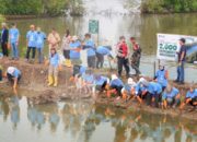 PT Dahana Tanam 2.000 Mangrove di Subang, Perkuat Konservasi Pesisir dan Mitigasi Perubahan Iklim
