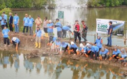 PT Dahana Tanam 2.000 Mangrove di Subang, Perkuat Konservasi Pesisir dan Mitigasi Perubahan Iklim