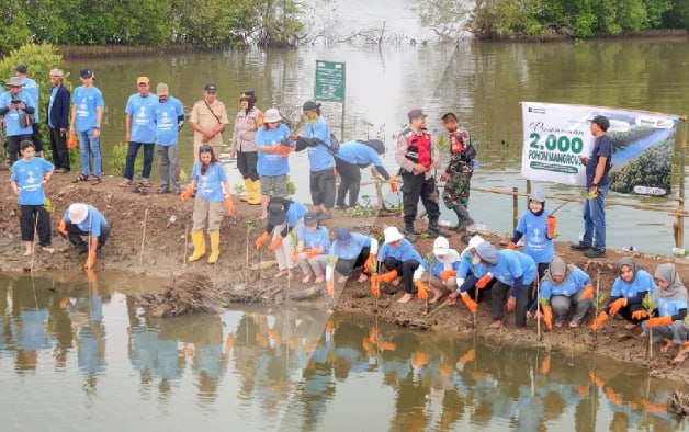 PT Dahana Tanam 2.000 Mangrove di Subang, Perkuat Konservasi Pesisir dan Mitigasi Perubahan Iklim