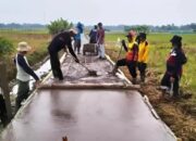 Tunjang Program Ketahanan Pangan, Pemdes Rangdu Bangun Jalan Usaha Tani