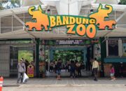 Faunaland Resmi Kelola Bandung Zoo, Revitalisasi dan Kesejahteraan Satwa Jadi Prioritas
