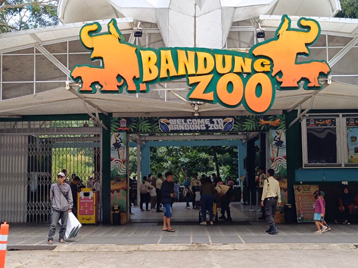 Faunaland Resmi Kelola Bandung Zoo, Revitalisasi dan Kesejahteraan Satwa Jadi Prioritas