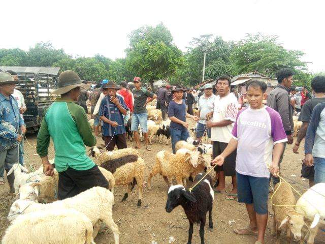Pasar Hewan Purwadadi Jadi Sentra Perdagangan Ternak, Ramai Didatangi Peternak dari Berbagai Daerah