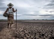 Hadapi Fenomena El Nino 2026, BMKG Minta Seluruh Sektor Siaga