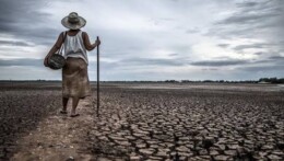 Hadapi Fenomena El Nino 2026, BMKG Minta Seluruh Sektor Siaga