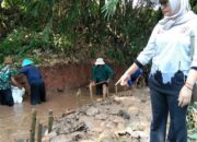 260 Hektare Sawah di Sumurgintung Terancam Gagal Panen Akibat Kekeringan, Kades Minta Bantuan Pemkab