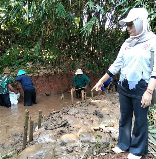 260 Hektare Sawah di Sumurgintung Terancam Gagal Panen Akibat Kekeringan, Kades Minta Bantuan Pemkab