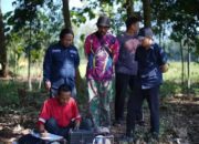 Antisipasi Kekeringan, Kementan Bangun Sumur Submersible dan Siapkan 16 Pompa Irigasi