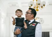 Begini Tanggapan Pihak Atalia, Hak Asuh Arkana Didapatkan Ridwan Kamil