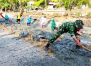 Sinergi TNI dan Masyarakat, Babinsa Turun ke Sawah Kawal Ketahanan Pangan di Subang