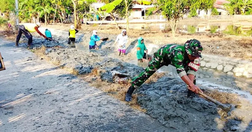 Sinergi TNI dan Masyarakat, Babinsa Turun ke Sawah Kawal Ketahanan Pangan di Subang