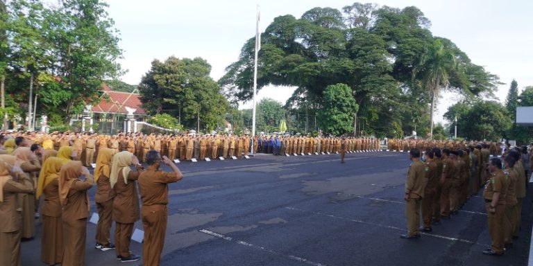 Ratusan ASN Pemkab Subang Pensiun, Pengamat Ingatkan Risiko Gangguan Layanan Publik
