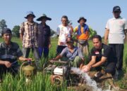 Petani Majalengka Beralih ke LPG 3 Kg, Ongkos Pompa Air Hemat Rp231 Ribu per Hari
