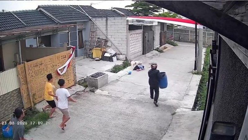 Diserang Pitbull, Bocah 9 Tahun di Bandung Alami Luka Kepala dan Telinga