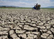 7.267 Hektare Lahan Persawahan Subang Terancam Kekeringan