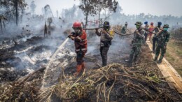 329 Kebakaran Terjadi di Purwakarta hingga September, Karhutla Mendominasi