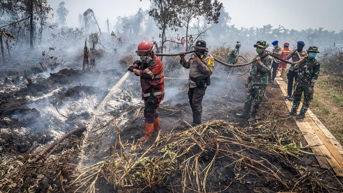 329 Kebakaran Terjadi di Purwakarta hingga September, Karhutla Mendominasi