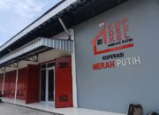Penempatan Manajer KDMP Molor, Kemenkop Beralasan Masih Penyesuaian Daerah