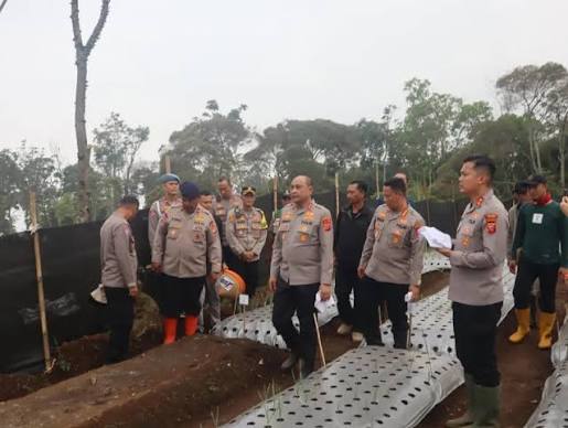 Kapolda Jabar Tinjau Budidaya Bawang Putih, Dorong Ketahanan Pangan Subang
