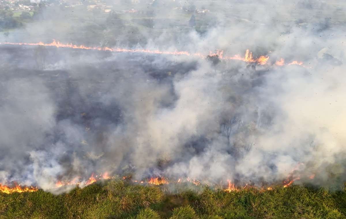 Karhutla di Jawa, Sulawesi hingga Papua Masih Berlangsung