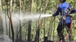 Kebakaran Lahan di Kalipucang Pangandaran, 1 Hektare Hangus Picu Kerugian Rp50 Juta
