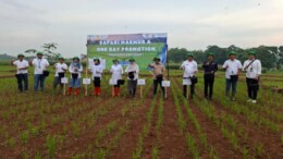 Stok Pupuk Subsidi di Subang Capai 5.933 Ton, Pupuk Kujang Pastikan Kesiapan Musim Tanam